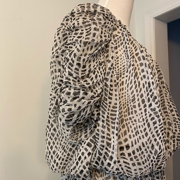 Silk SheerPuff Ruched Sleeve Dress by Joie - Picture 2 of 6